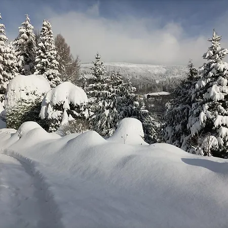 Doro Konukevi Černý Dŭl