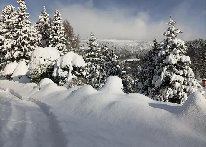 Doro Penzion Černý Důl