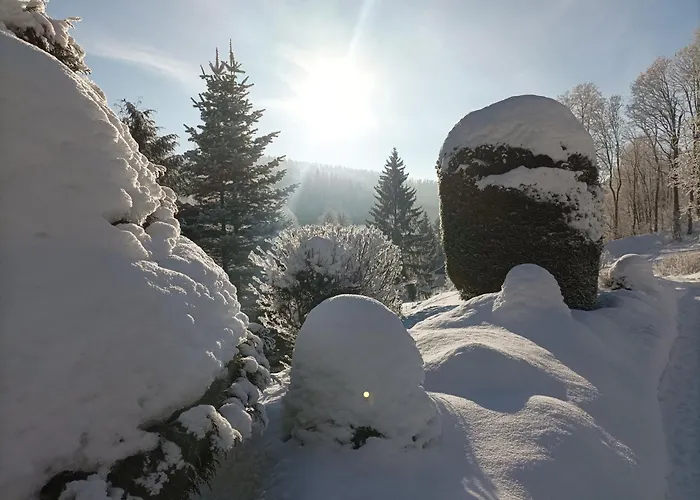 Doro Penzion Černý Důl